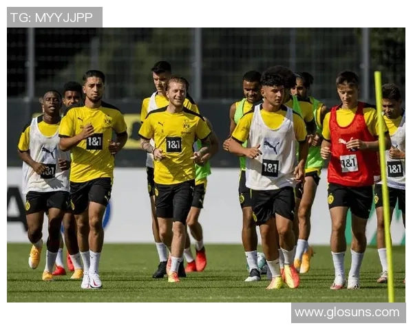 意甲赛场惊现冷门尤文图斯3-0战胜多特蒙德十大精彩进球回顾