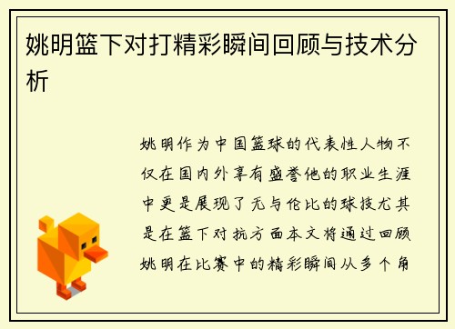 姚明篮下对打精彩瞬间回顾与技术分析